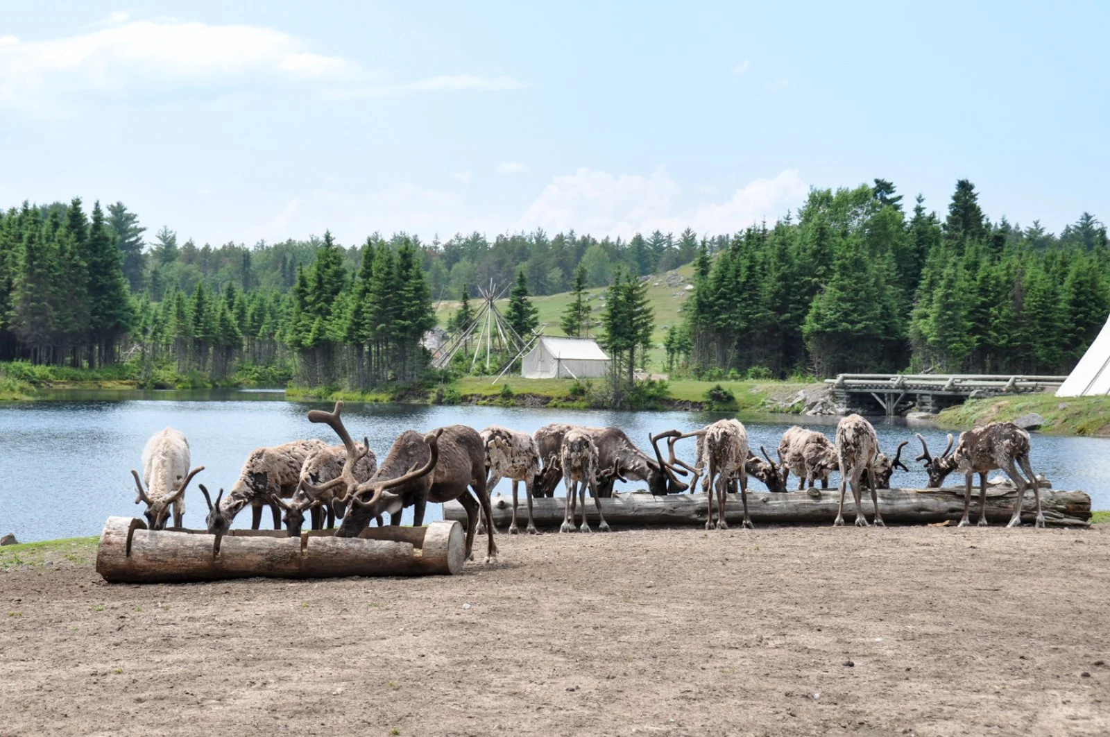 Chambord - Saguenay - immagine 1 di 2