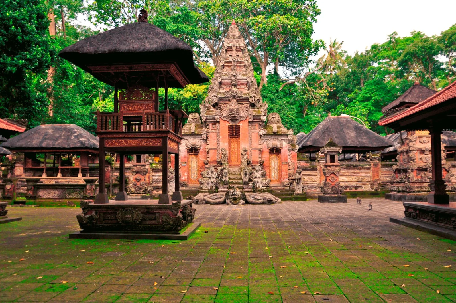 Ubud - Kintamani - Besakih - Ubud