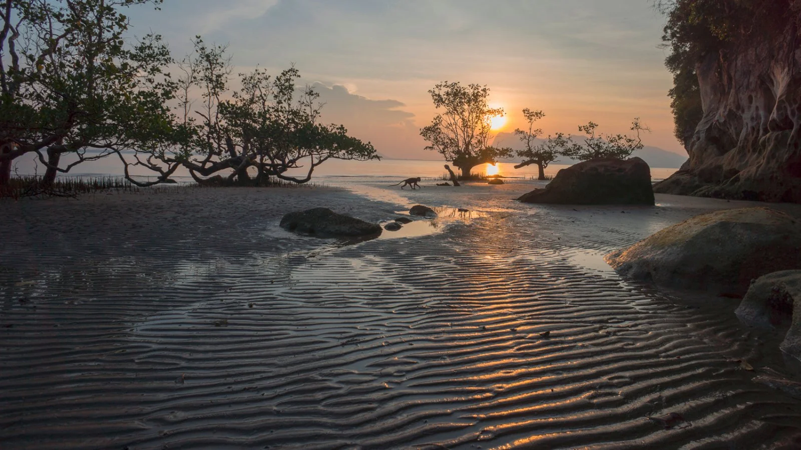 Kuching - Bako National Park - Kuching - immagine 4 di 5