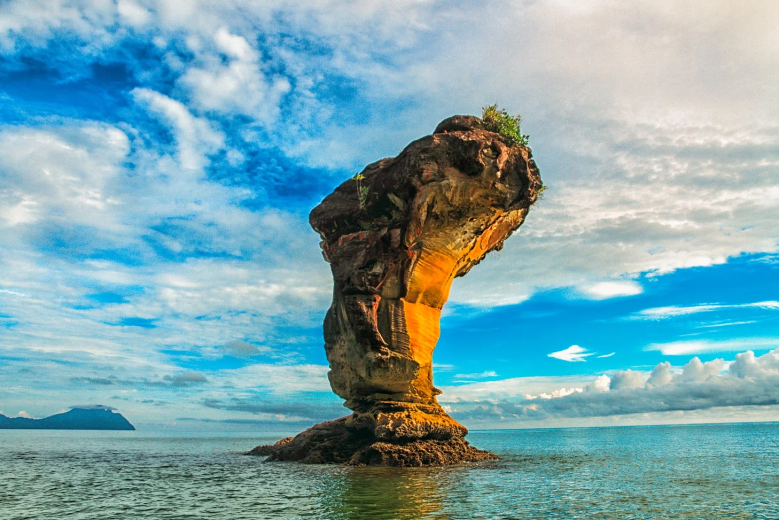 Kuching - Bako National Park - Kuching - immagine 3 di 5