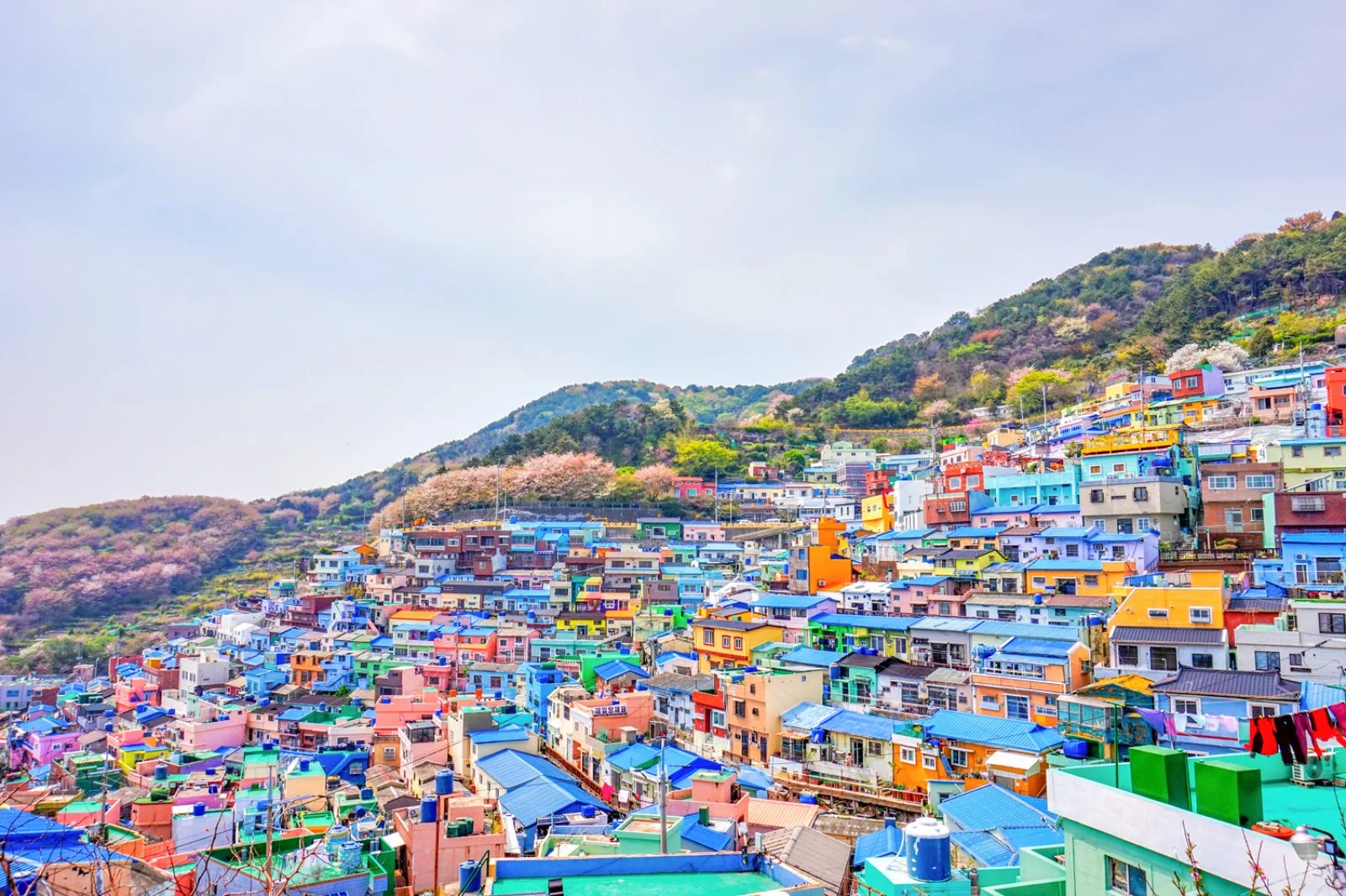 Gyeongju - Busan  - immagine 1 di 3