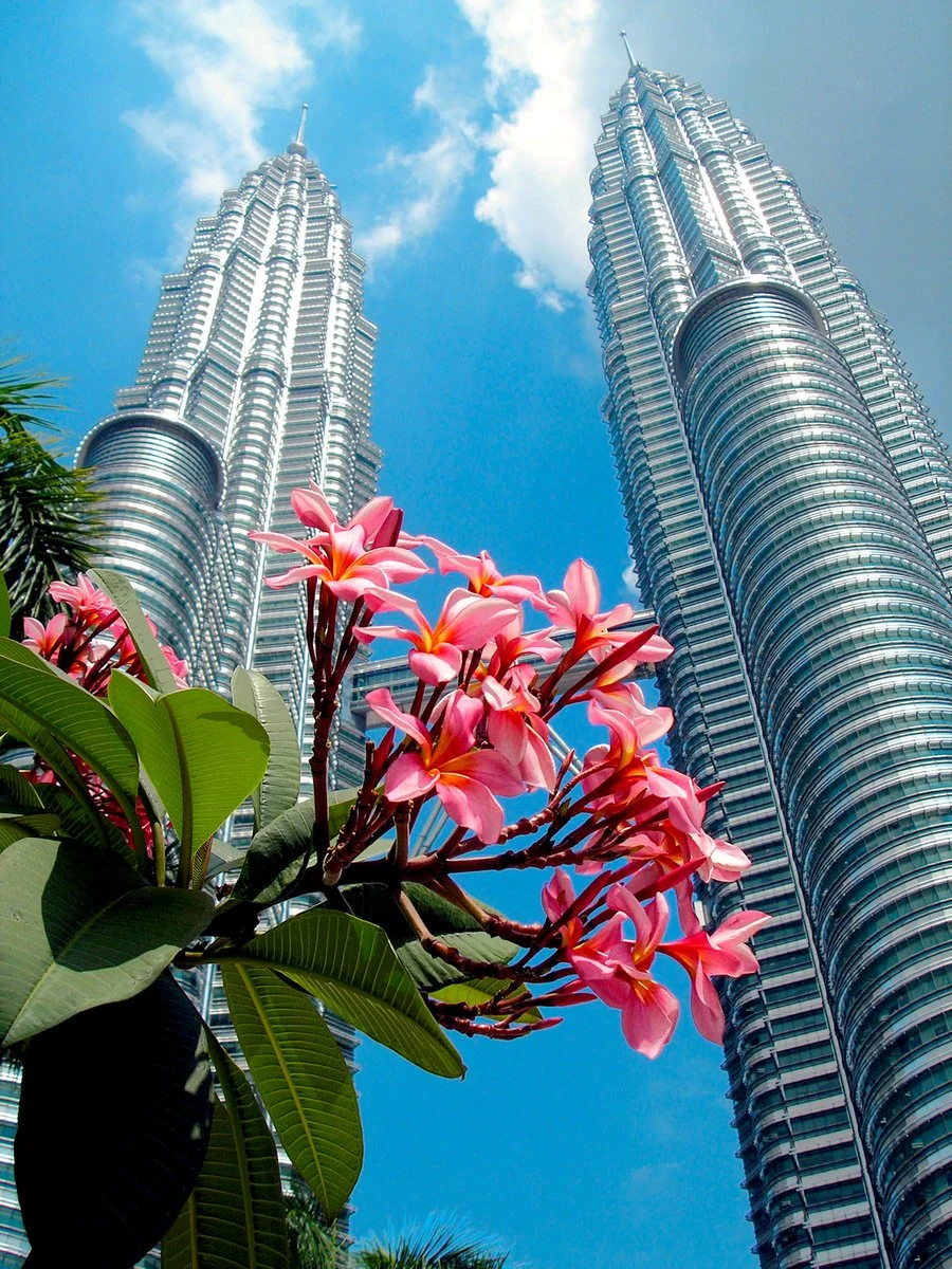 Kuala Lumpur, Petronas Twin Towers