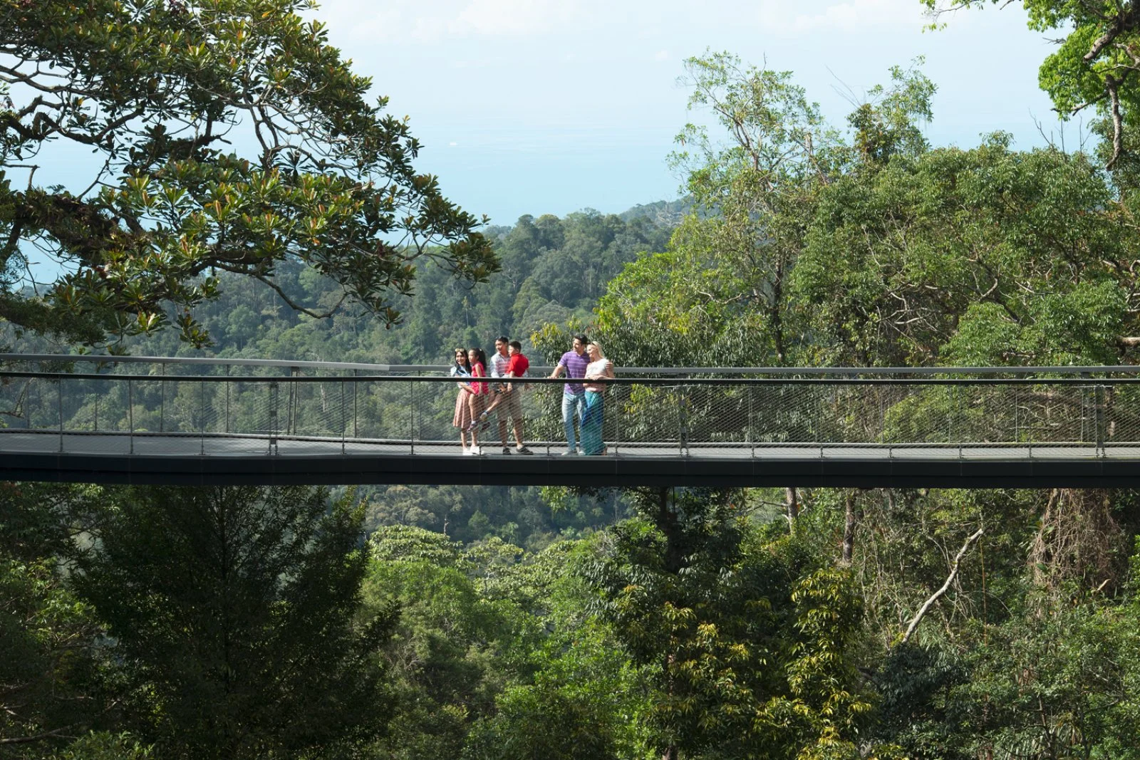 Taman Negara - immagine 1 di 2