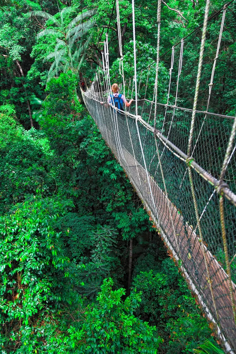 Taman Negara - immagine 3 di 3