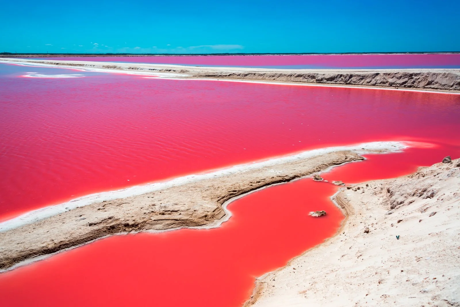 4° giorno: Merida - Ek Balam - Las Coloradas - Cancun/Playa del Carmen (circa 670 km) - immagine 1 di 3