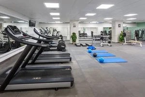 palestra