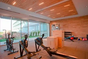 Palestra