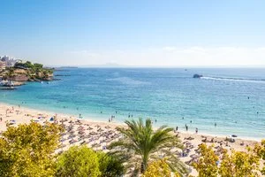 AGUA BEACH – Palmanova