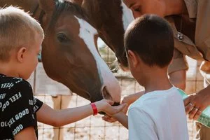 ALPISELECT DUNE-ARBATAX PARK RESORT – Arbatax