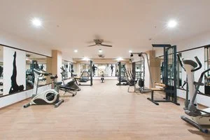 Palestra