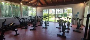 Palestra