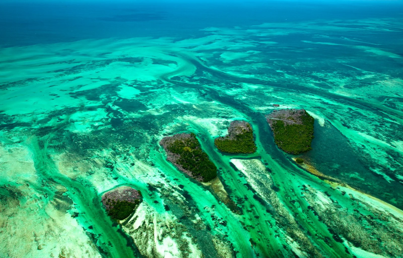 Sunny Florida - Florida, Key West