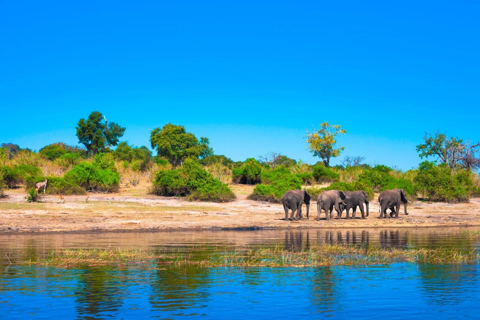 Parco Hwange - Parco Chobe