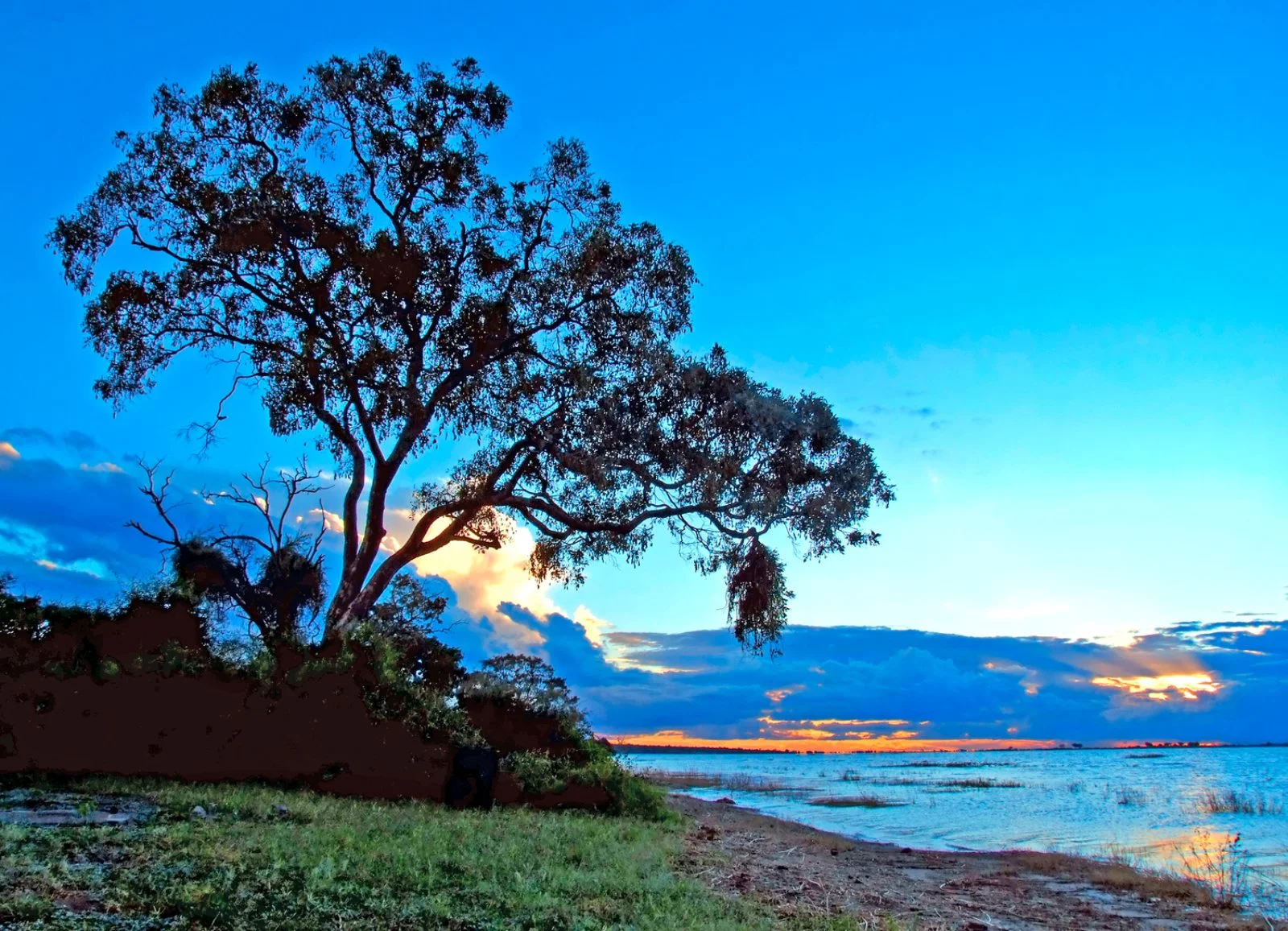 Parco Hwange - Parco Chobe