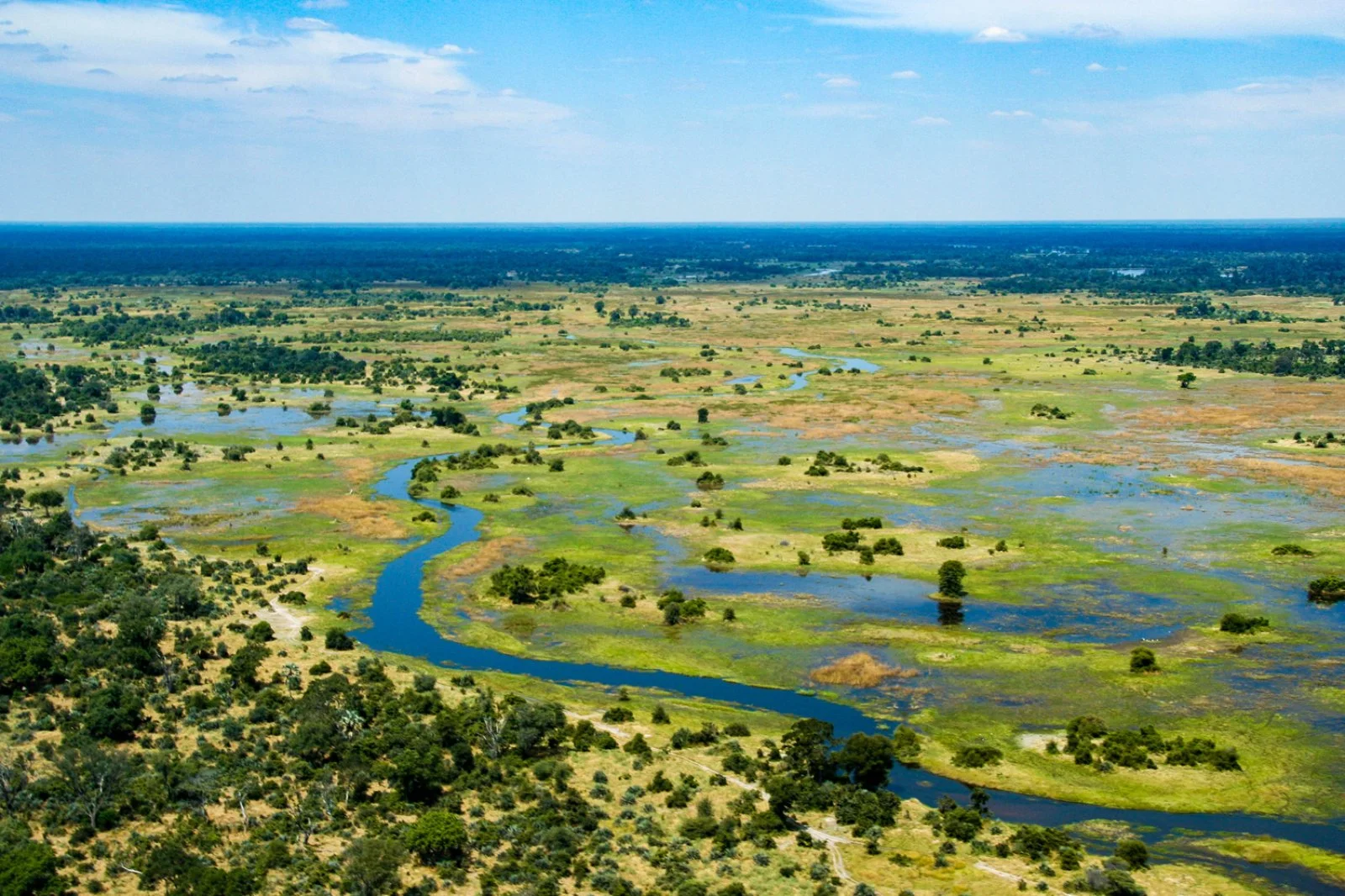 Delta dell'Okavango