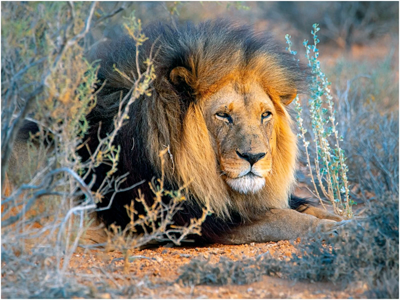 Mpumalanga - Concessione Privata Parco Kruger