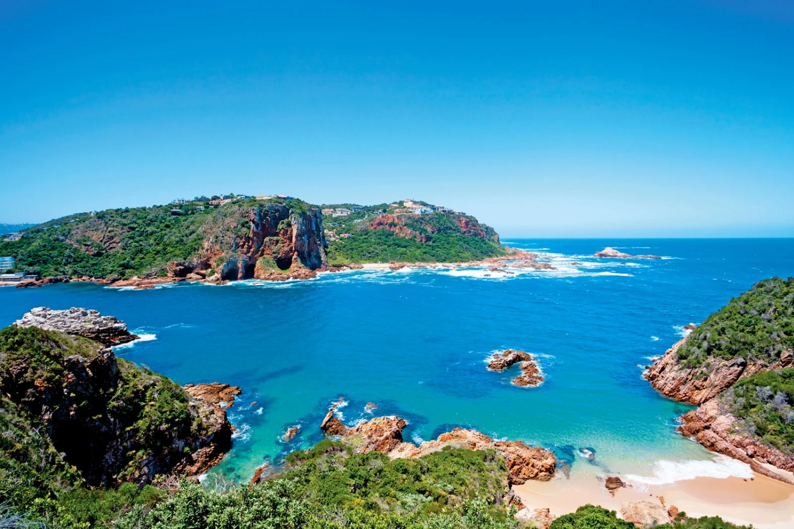 Port Elizabeth - Tsitsikamma Forest - Knysna