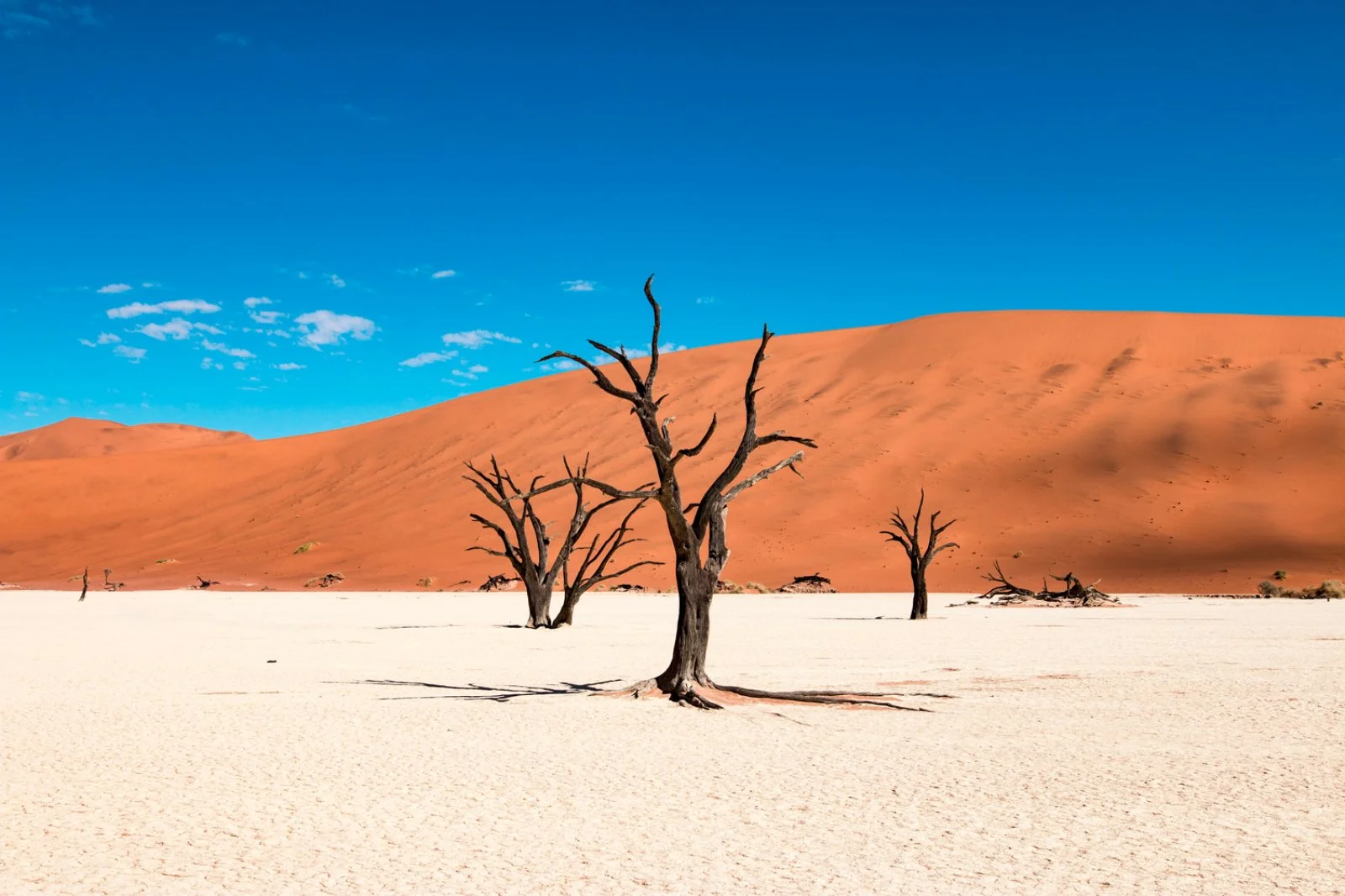 Parco Nazionale Namib Naukluft