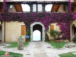 VILLAGGIO L'OLIVARA HOTEL – Gasponi