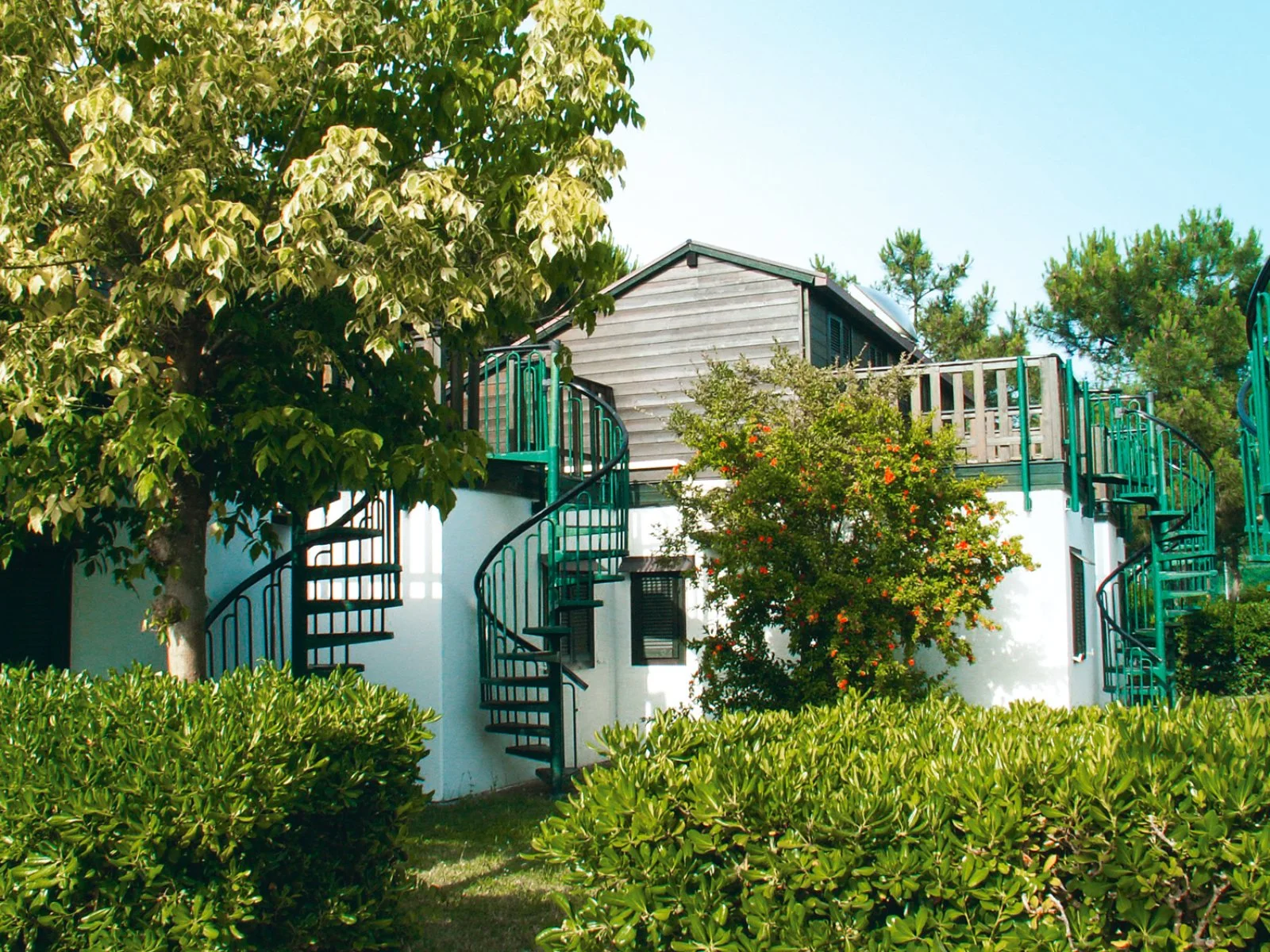 Residence Mare Pineta 