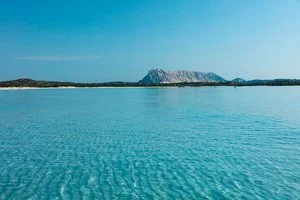 HOTEL LE MIMOSE – San Teodoro
