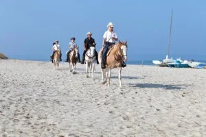 HORSE COUNTRY RESORT HOTEL – Arborea
