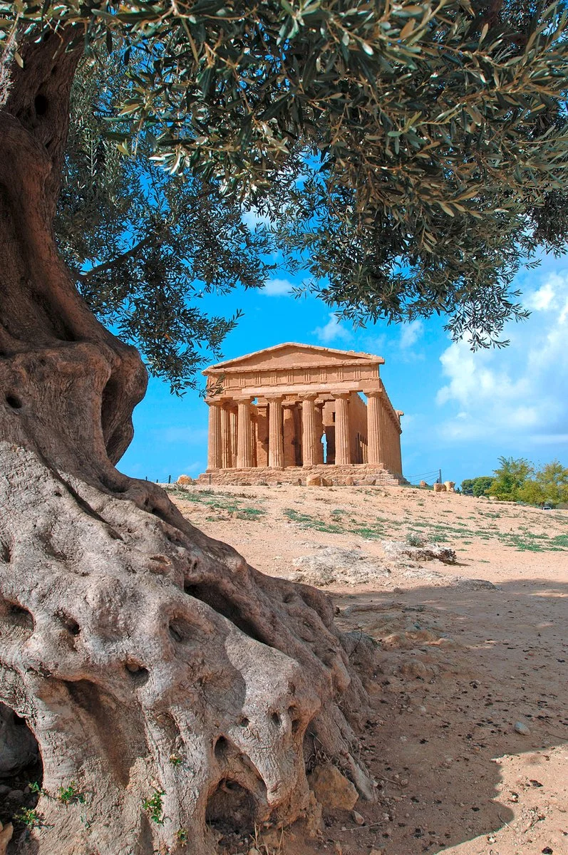 7° giorno: Taormina  - Savoca - Forza d'Agrò