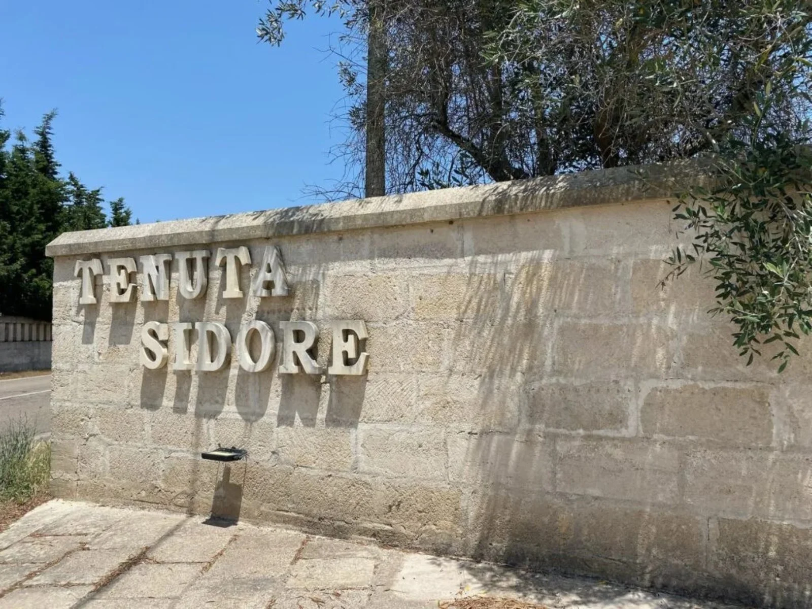 Tenuta Sidore 