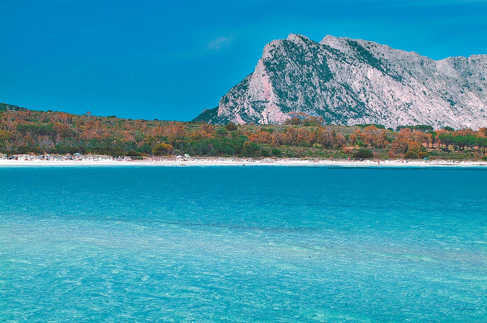 Residenze San Teodoro E Dintorni - San Teodoro