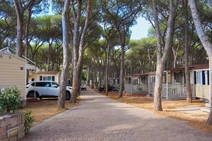 CAMPING V. BAIA BLU LA TORTUGA – Vignola Mare
