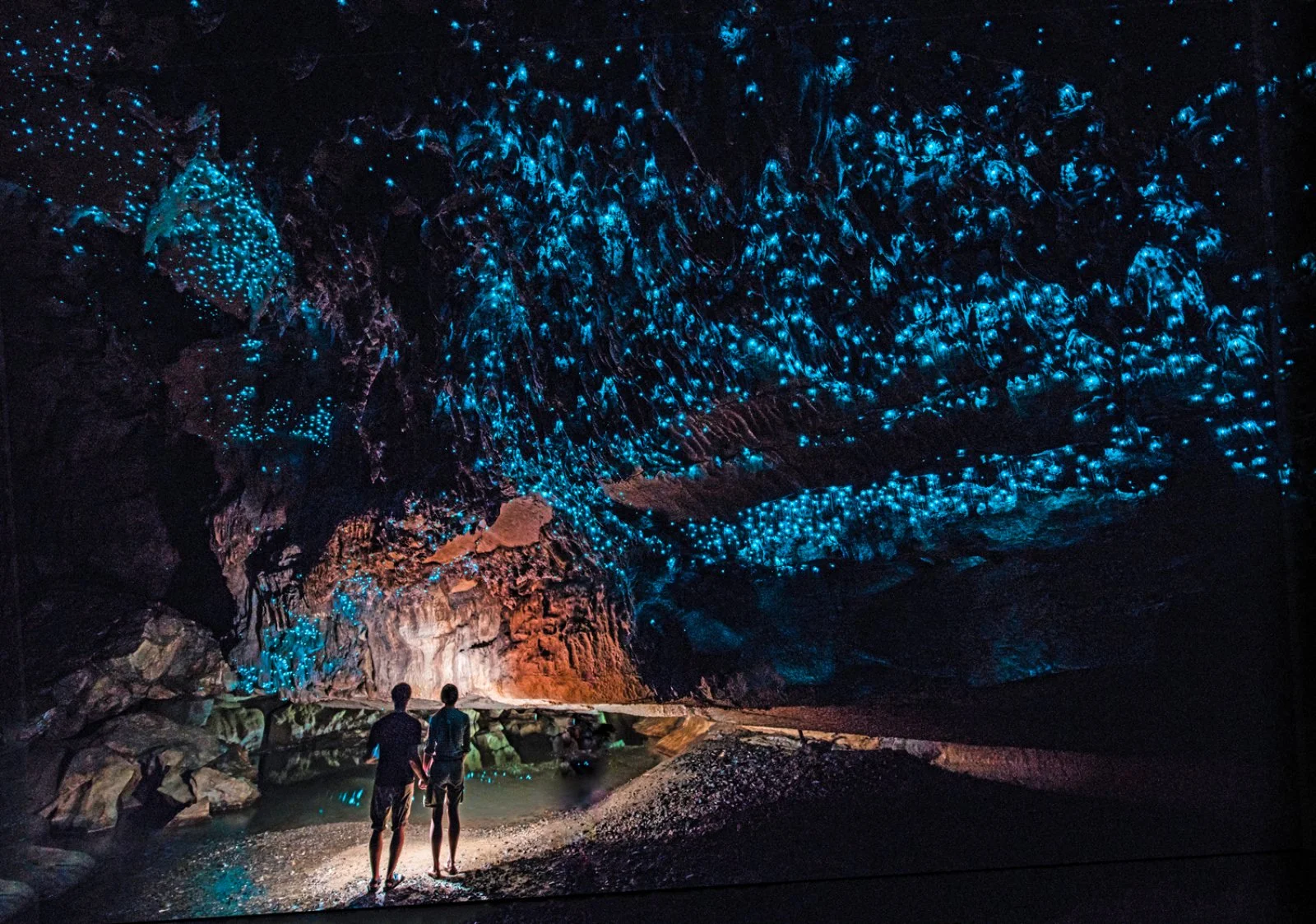 Panorami Neozelandesi - Nuova Zelanda, Waitomo Glowworm Caves