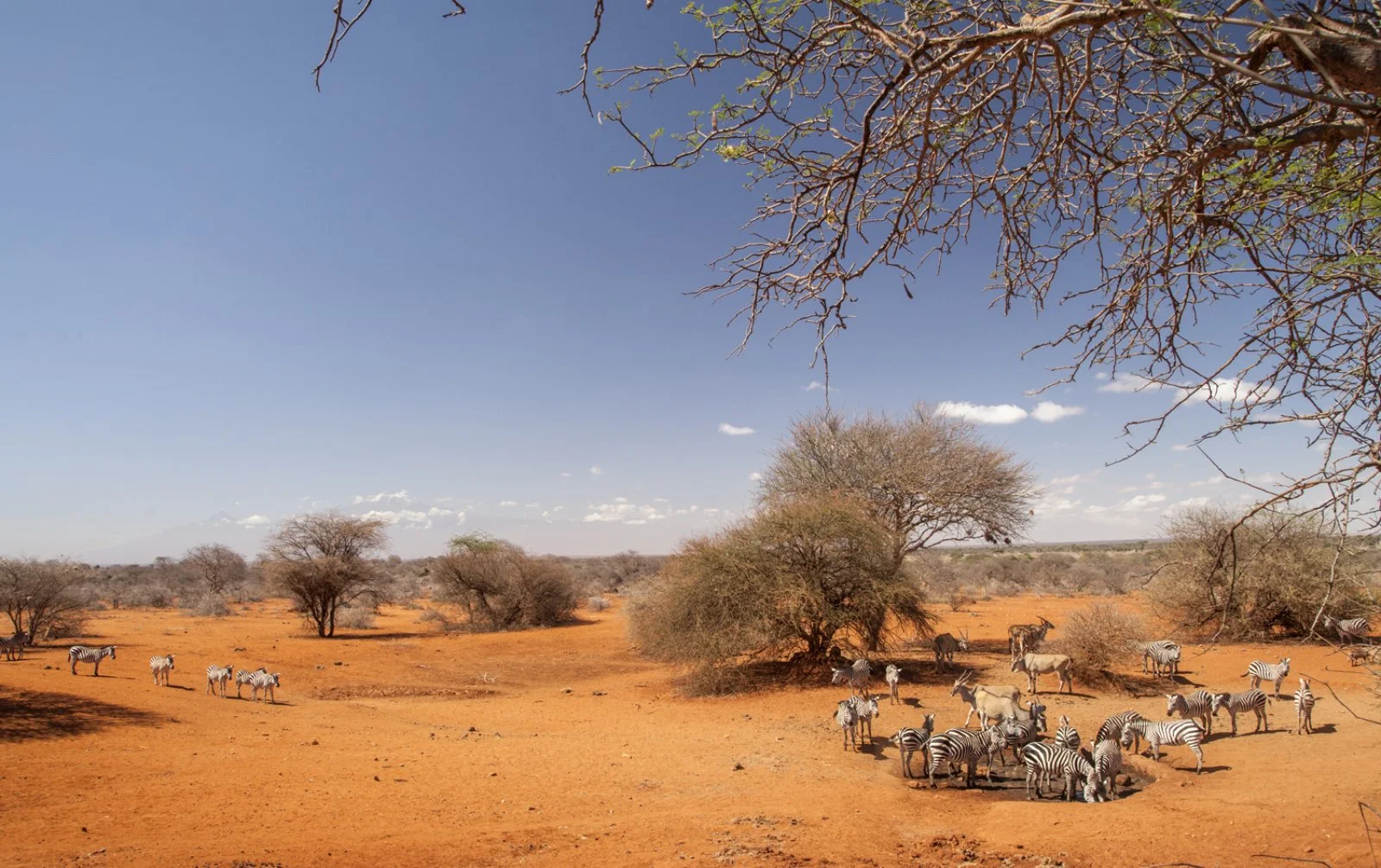 Lake Nakuru - Loita Hills