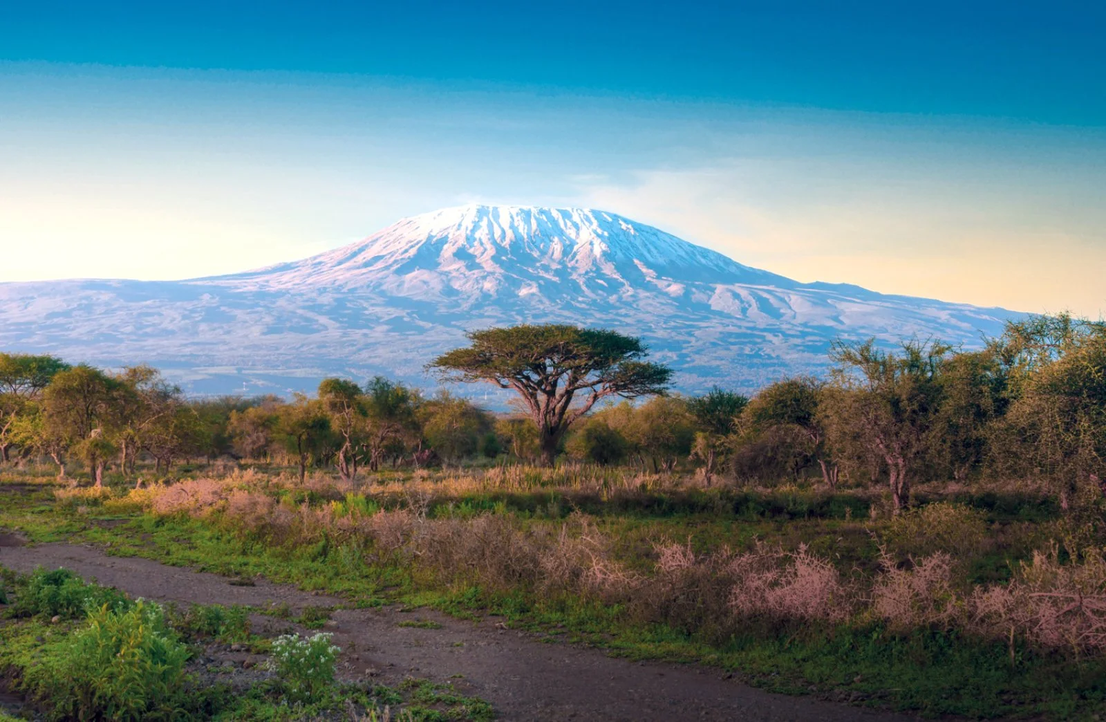Tsavo Est - Amboseli National Park