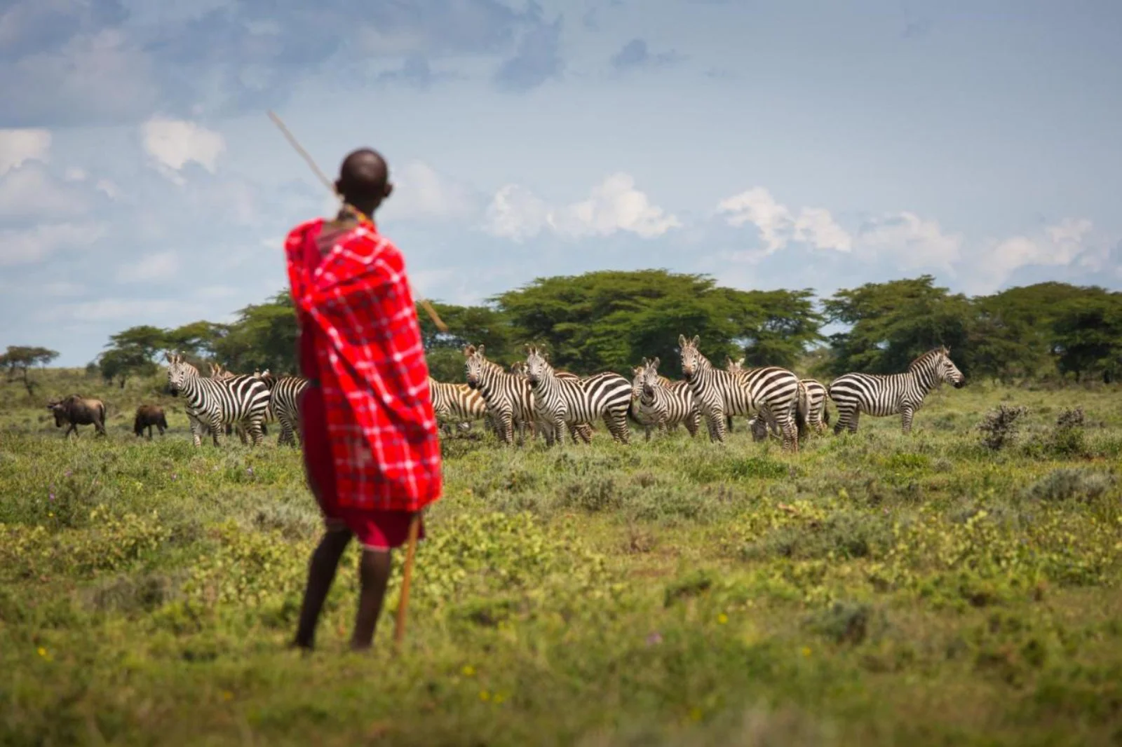 Lake Nakuru - Loita Hills