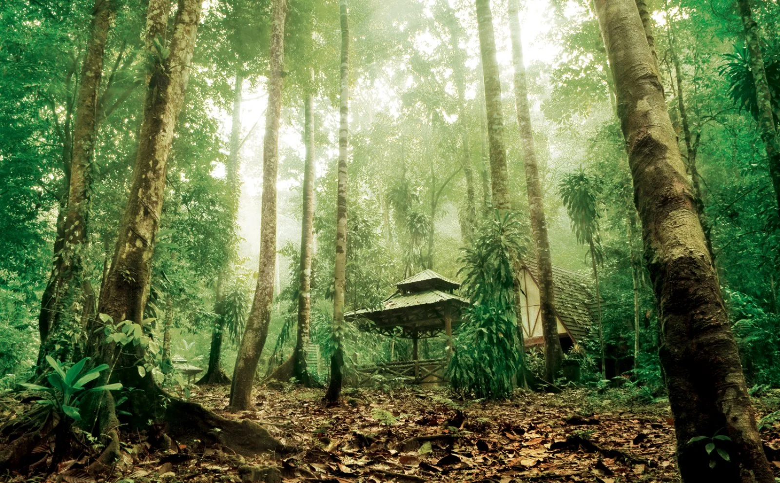 Taman Negara Explorer 