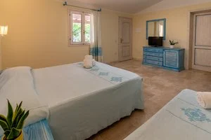 Camera tripla