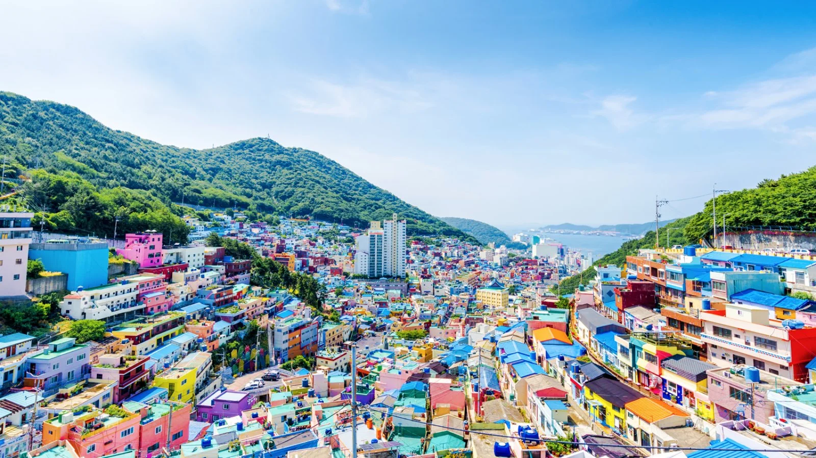 Gyeongju - Busan - immagine 2 di 2