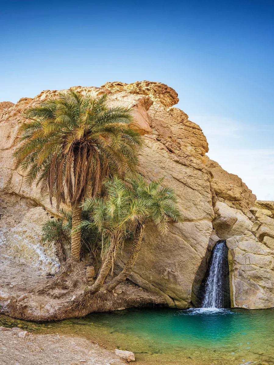 Tozeur/Chebika/Tamerza/Ong Jemel/Tozeur (188 km)