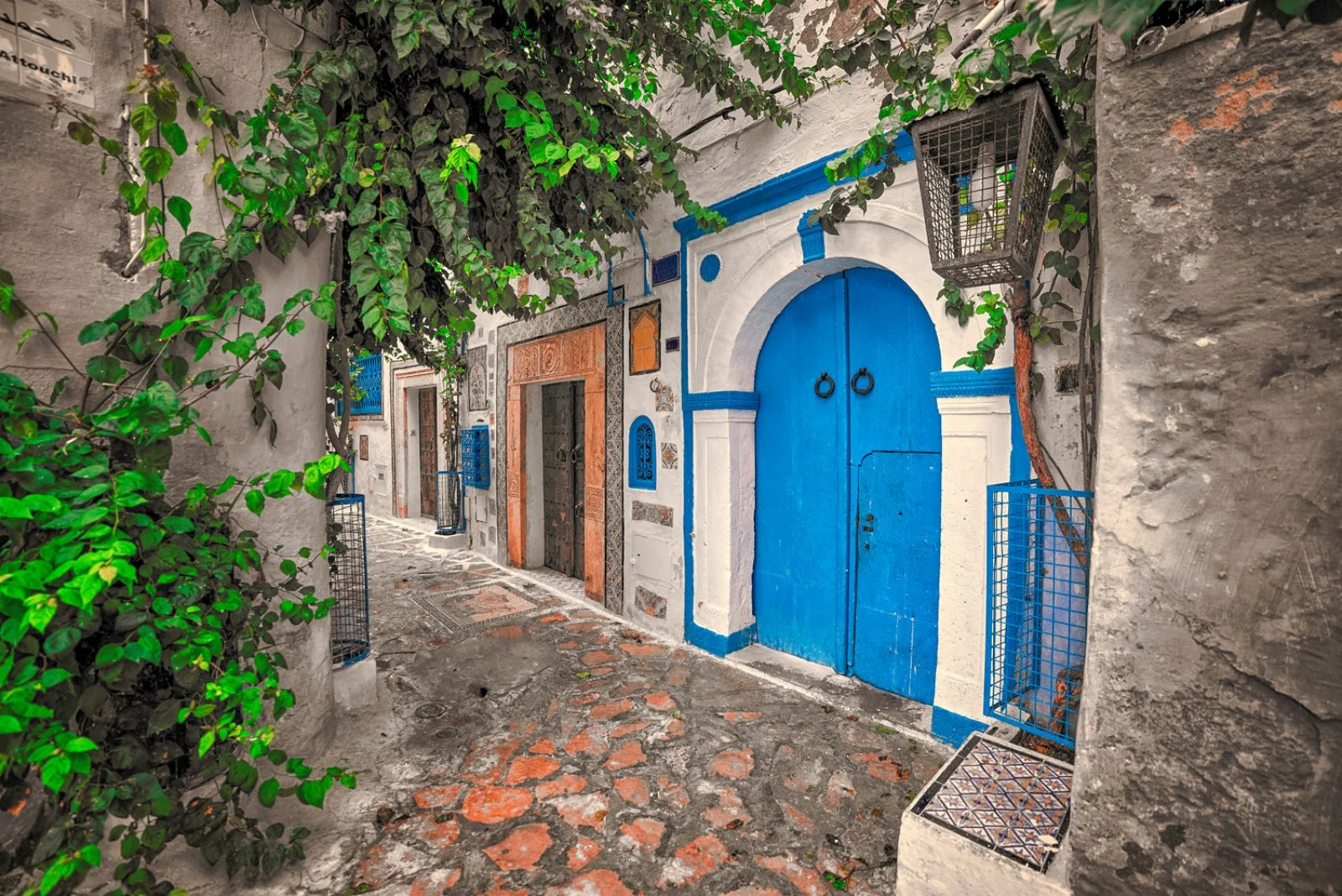 Intour Autentica Tunisia - Hammamet