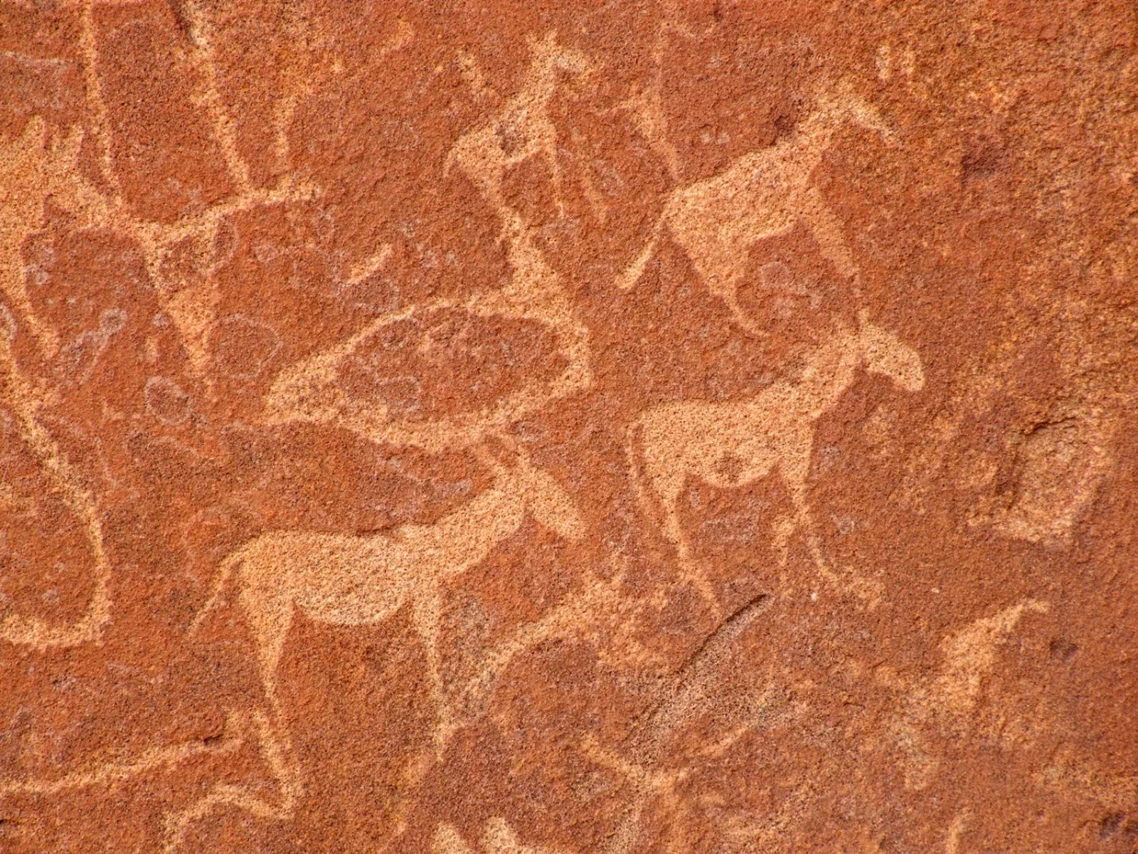 Damaraland