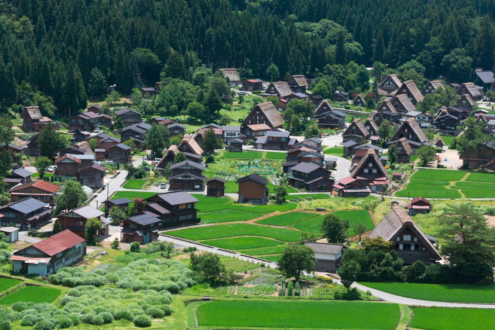 Kyoto - Kanazawa - Shirakawago - Takayama
