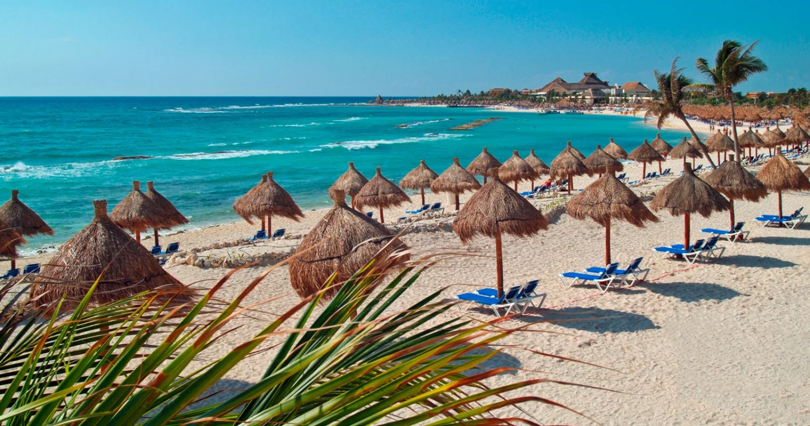 Bahia Principe Grand Tequila Resort 
