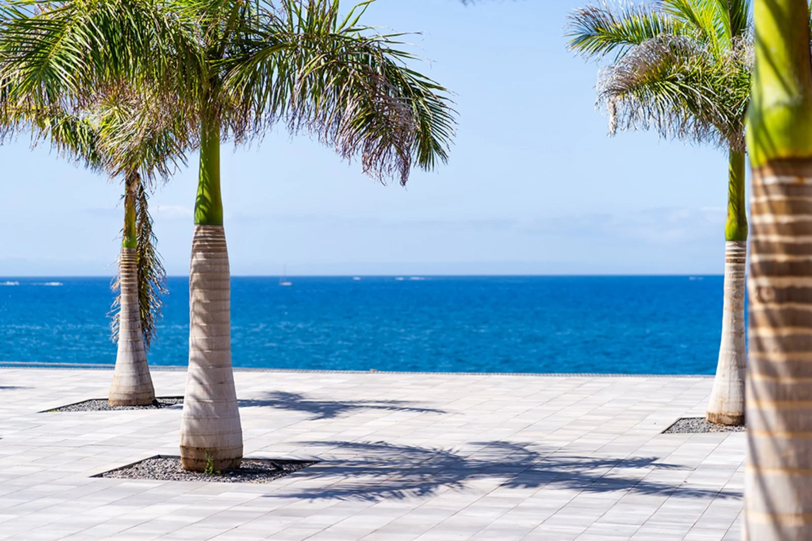 Hovima Jardin Caleta 