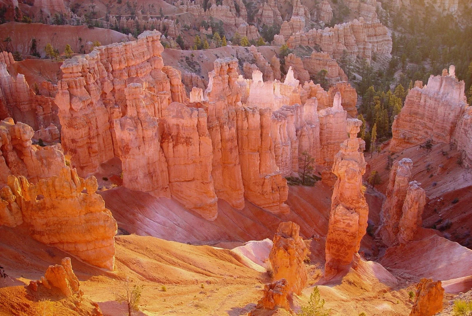 Page - Bryce Canyon - Cannonville
