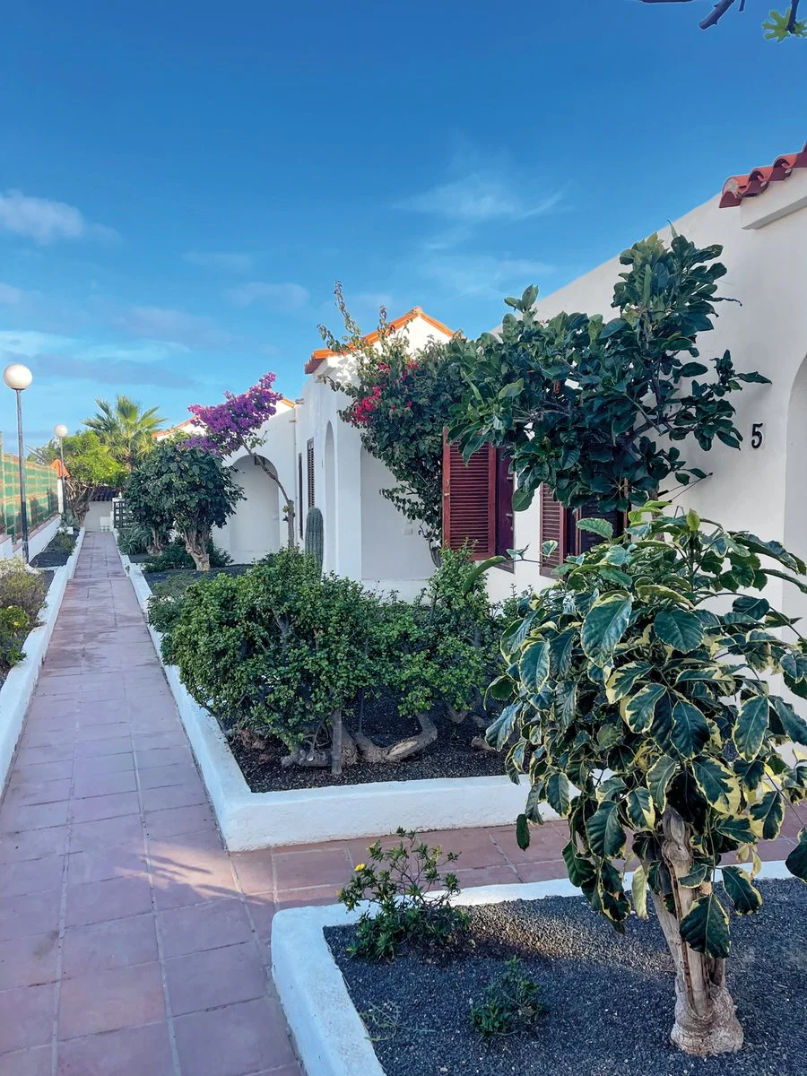 APPARTAMENTI LA CONCHA DE MAR Thumbnail