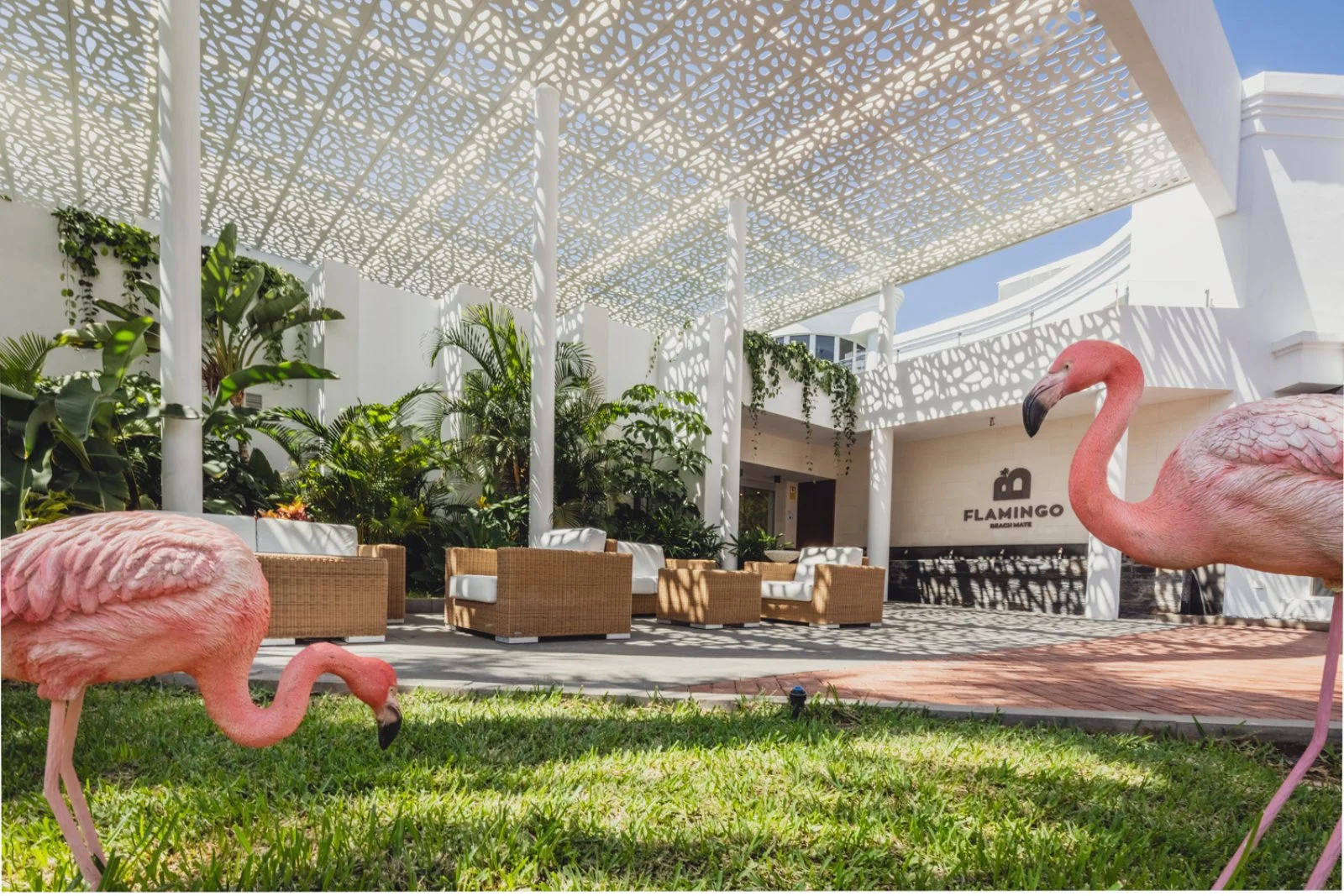 Flamingo Beach Mate Aparthotel  Flamingo Beach Mate Aparthotel
