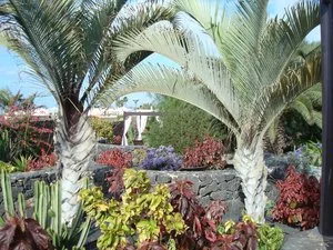 VILLA VIK BOUTIQUE HOTEL – Arrecife