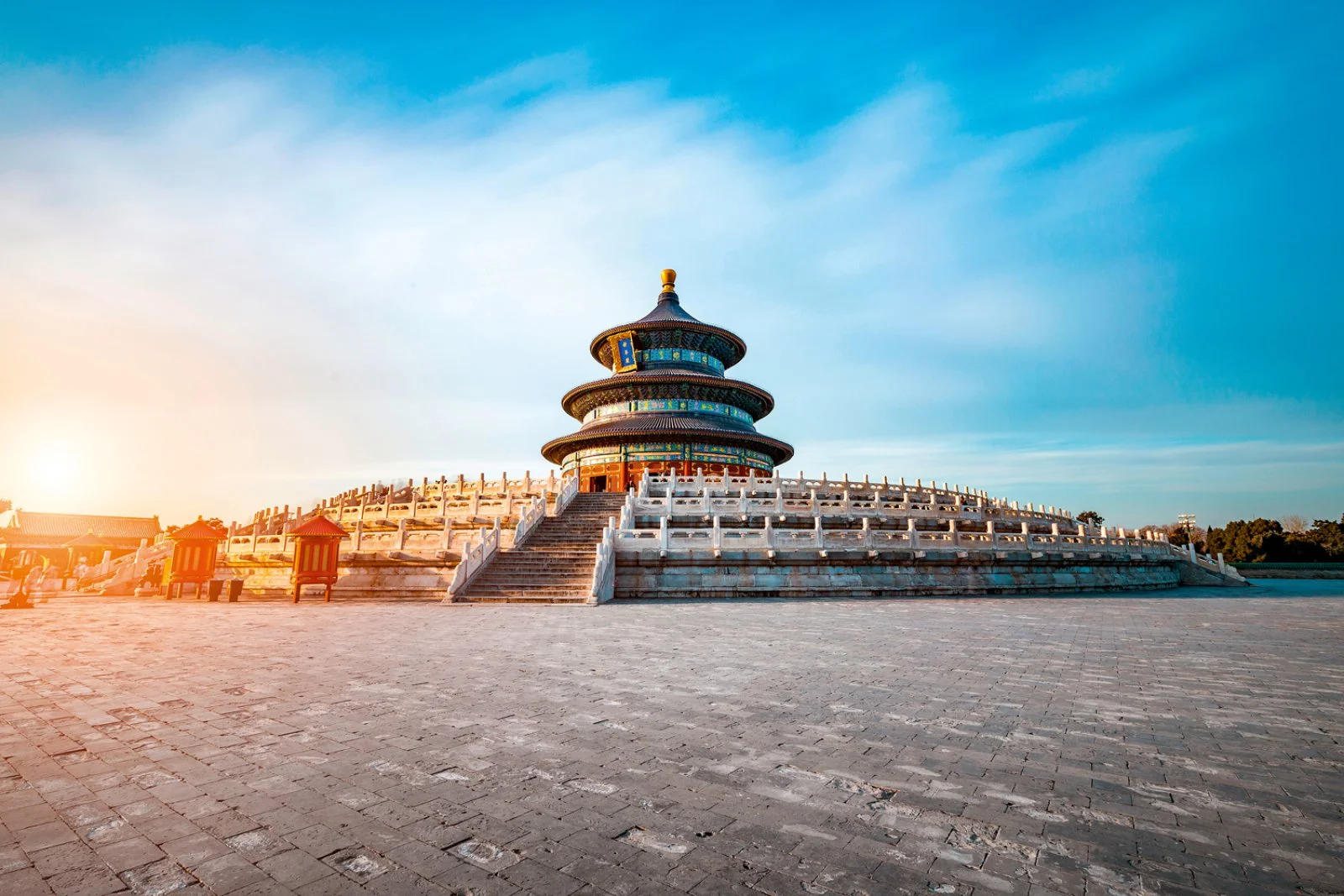 Magic Panda Magic Panda