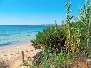 APPARTAMENTI ESCANDELL – Formentera
