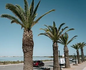 HOTEL ROSAMAR – Formentera